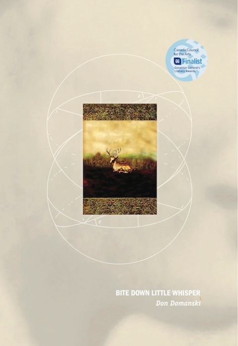 Cover image for book Bite Down Little Whisper
