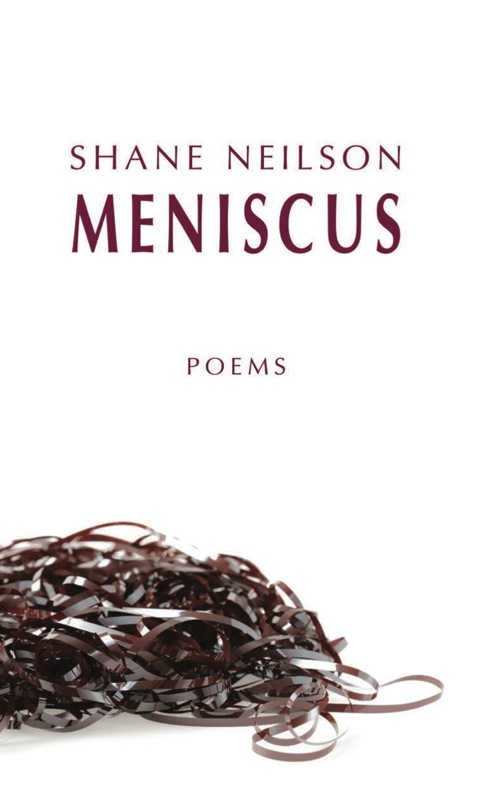 Cover image for book Meniscus