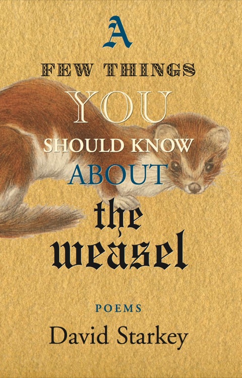 Cover image for book A Few Things You Should Know About the Weasel