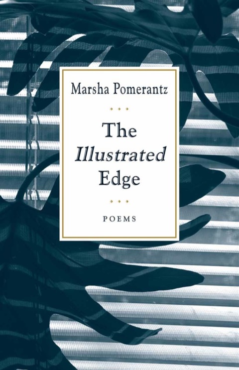 Cover image for book The Illustrated Edge