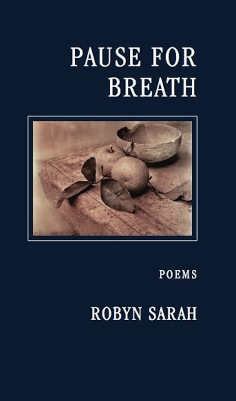 Cover image for book Pause for Breath