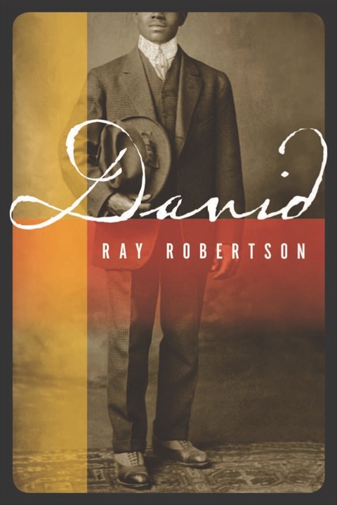 Cover image for book David