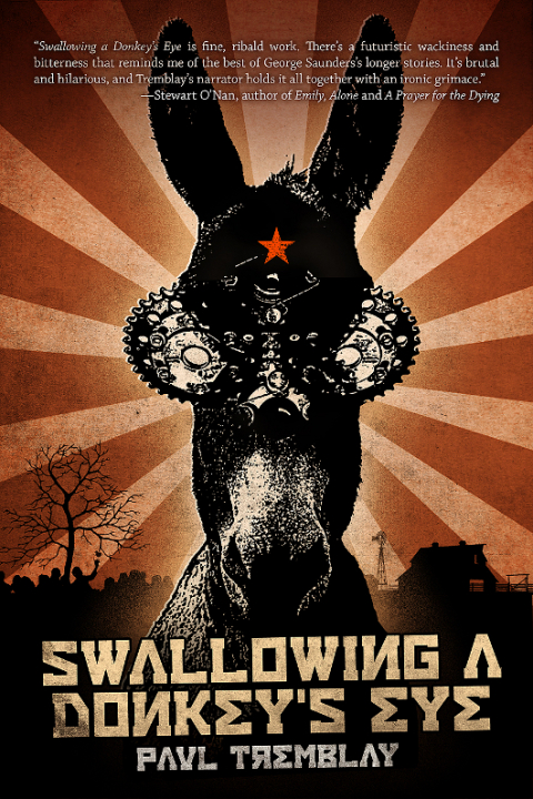 Cover image for book Swallowing a Donkey's Eye