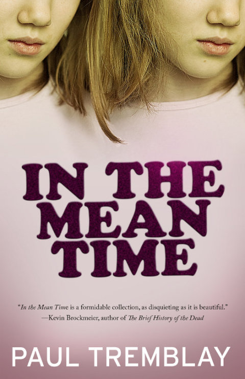 Cover image for book In the Mean Time
