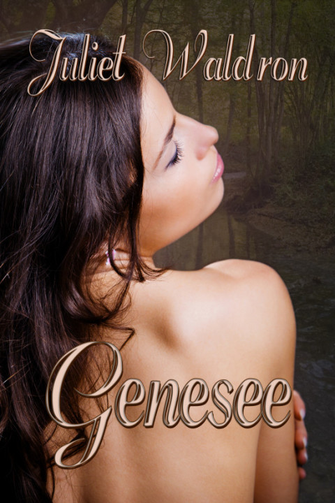 Cover image for book Genesee