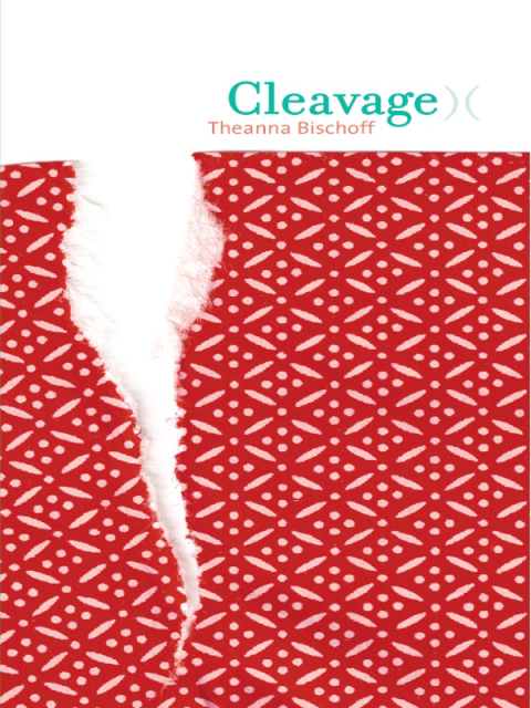 Cover image for book Cleavage