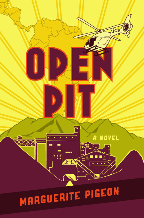 Cover image for book Open Pit