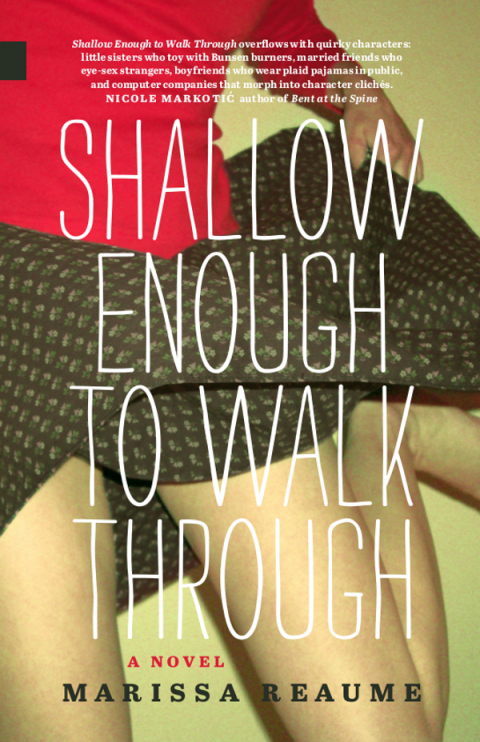 Cover image for book Shallow Enough to Walk Through