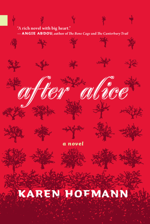 Cover image for book After Alice