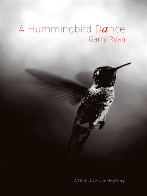 Cover image for book A Hummingbird Dance
