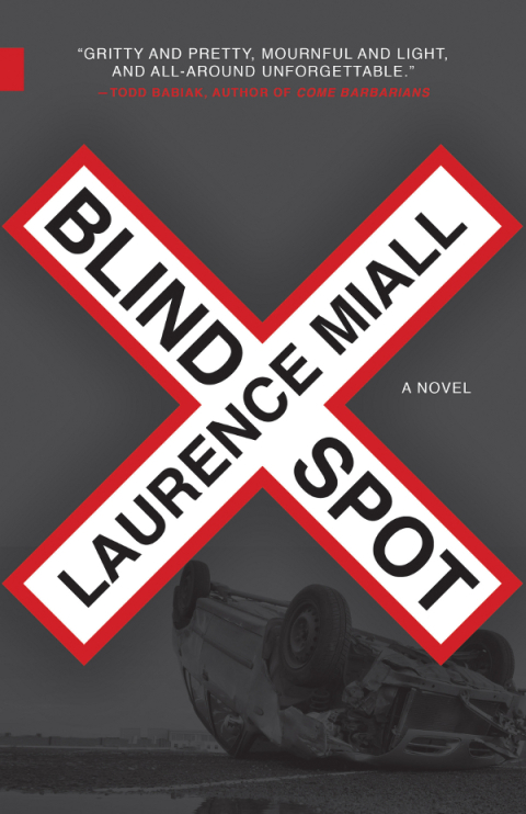Cover image for book Blind Spot