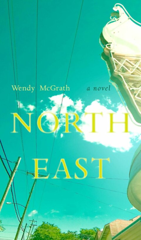 Cover image for book North East
