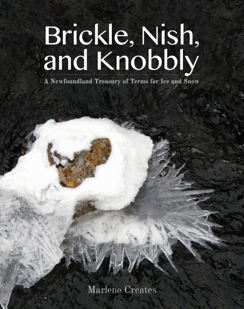 Cover image for book Brickle, Nish and Knobbly