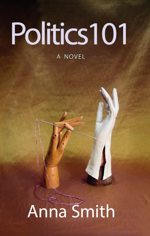Cover image for book Politics 101