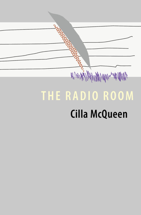 Cover image for book The Radio Room