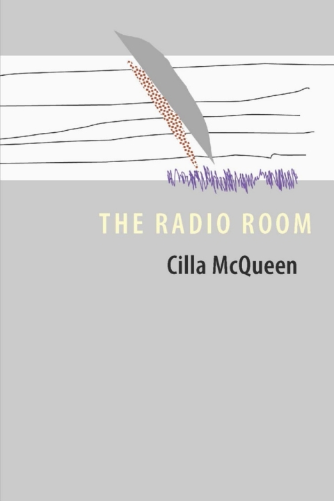 Cover image for book The Radio Room