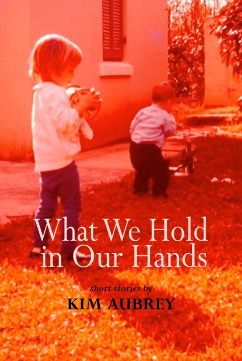 Cover image for book What We Hold In Our Hands