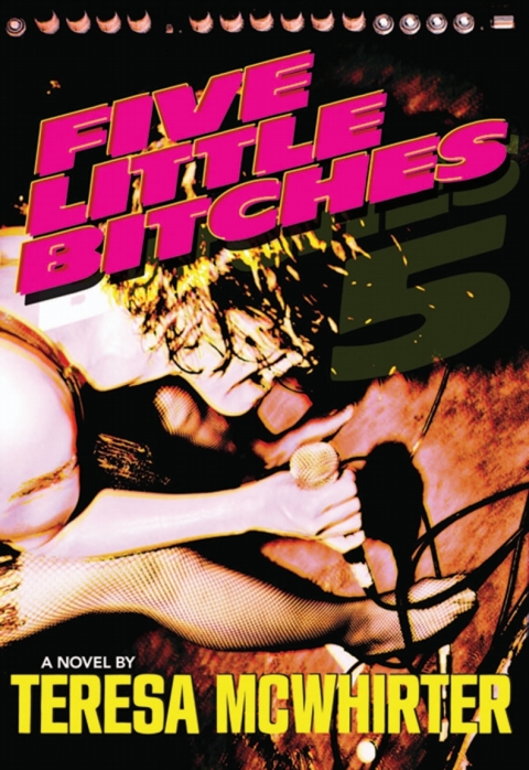 Cover image for book Five Little Bitches