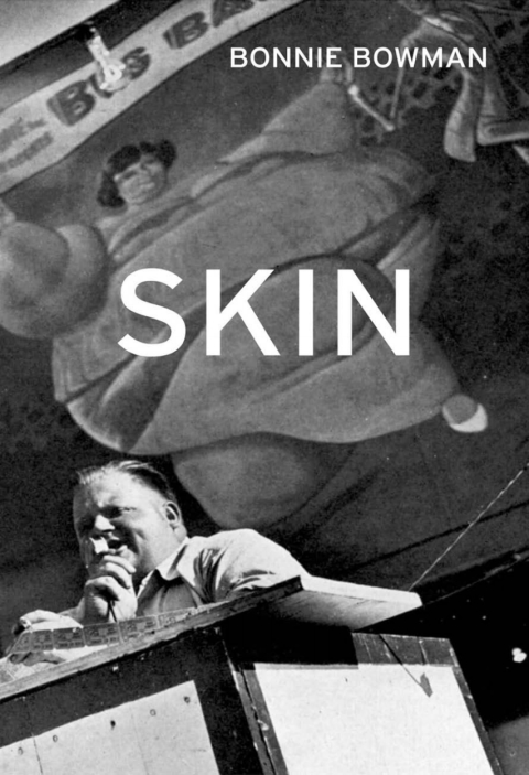 Cover image for book Skin