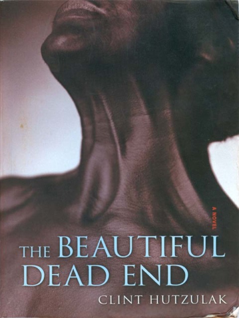 Cover image for book The Beautiful Dead End