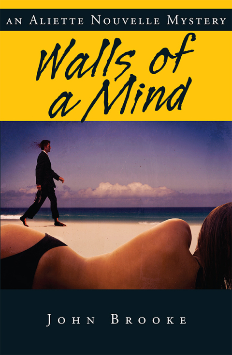 Cover image for book Walls of a Mind