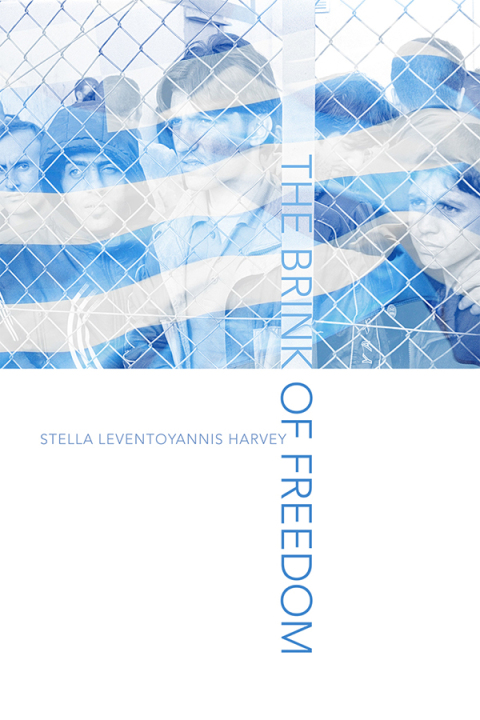 Cover image for book The Brink of Freedom