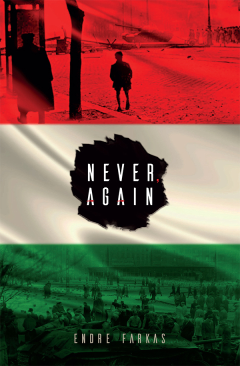 Cover image for book Never, Again