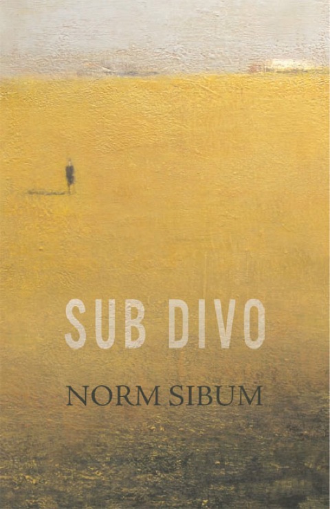 Sub Divo 
