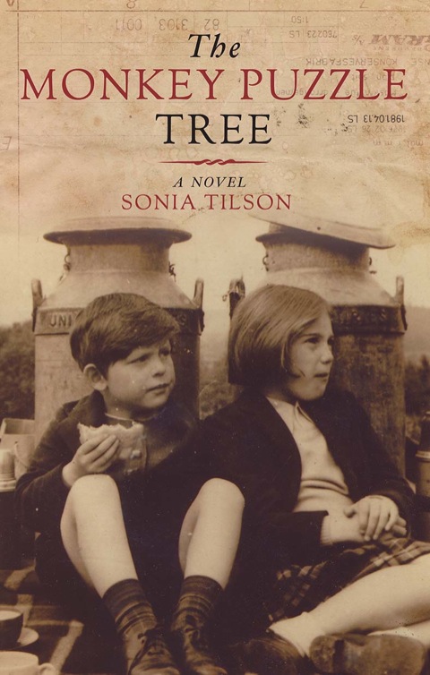 Cover image for book The Monkey Puzzle Tree