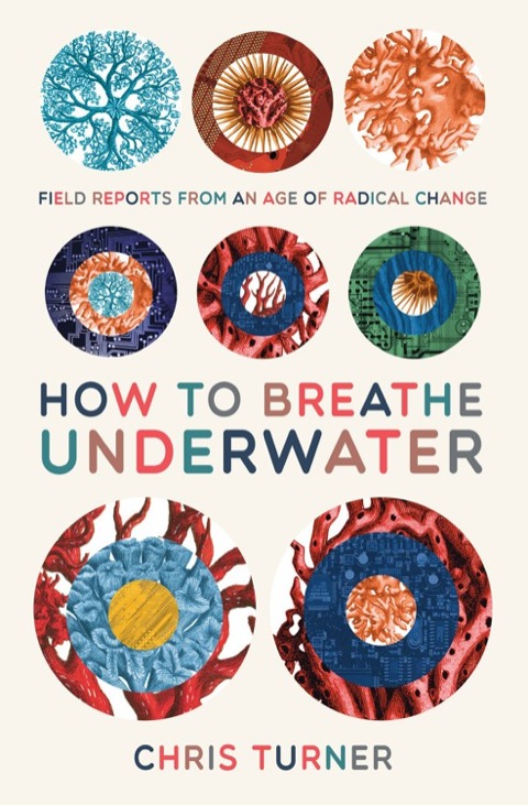 Cover image for book How to Breathe Underwater