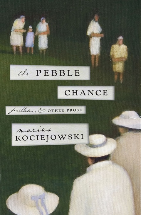 Cover image for book The Pebble Chance