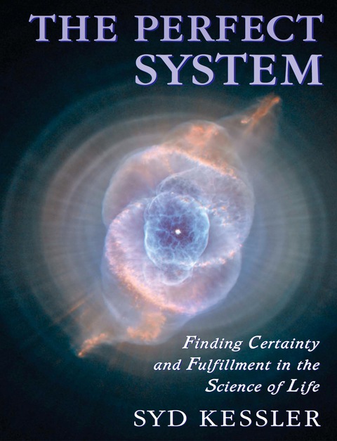 Cover image for book The Perfect System