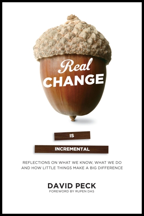 Cover image for book Real Change Is Incremental