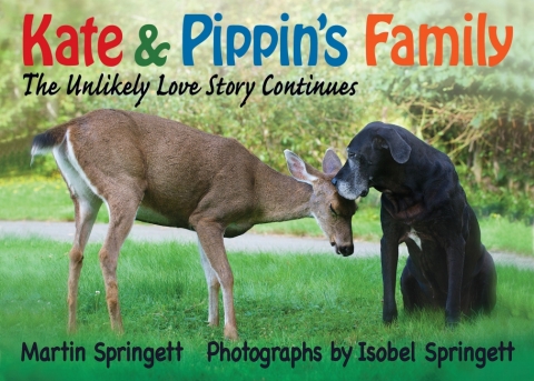 Cover image for book Kate & Pippin's Family