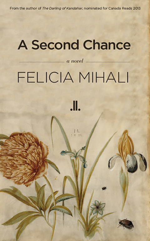 Cover image for book A Second Chance