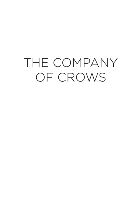 Cover image for book The Company of Crows