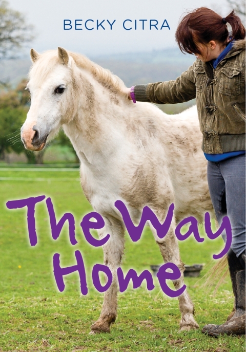 Cover image for book The Way Home