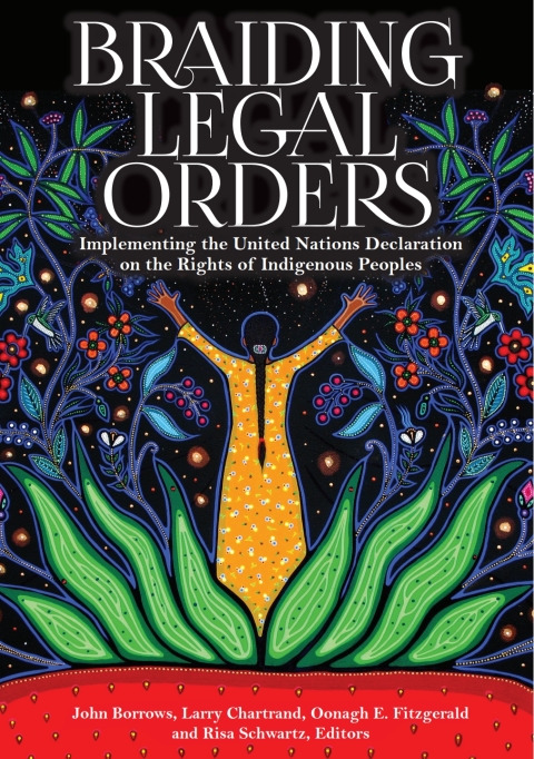 Cover image for book Braiding Legal Orders