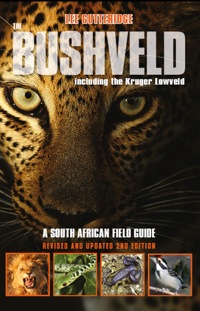 صورة الغلاف: The Bushveld 2nd Ed. 2nd edition 9781920143534