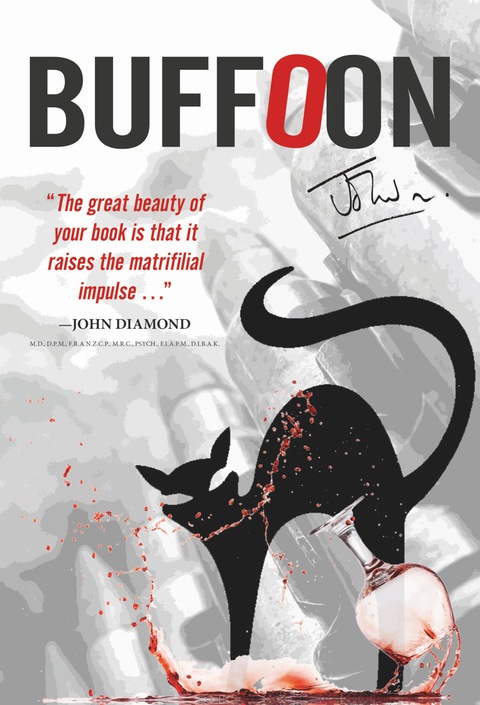 Cover image for book Buffoon