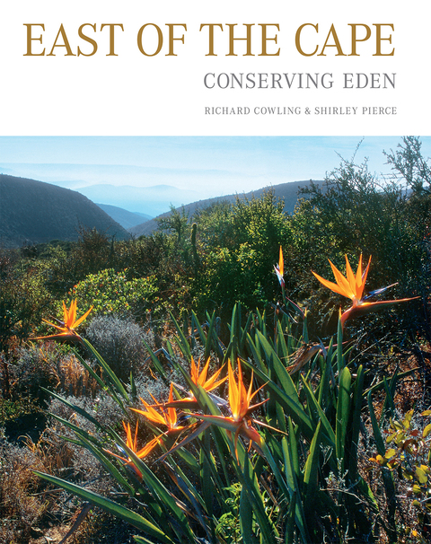 Cover image for book East of the Cape