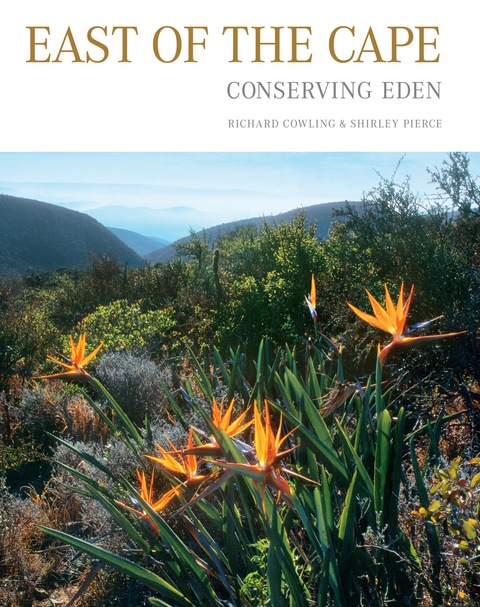 Cover image for book East of the Cape