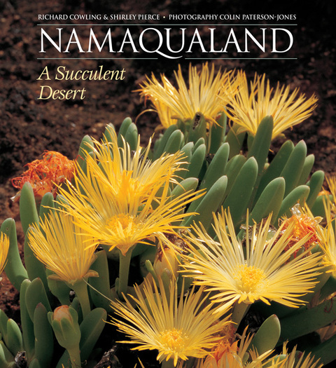Cover image for book Namaqualand