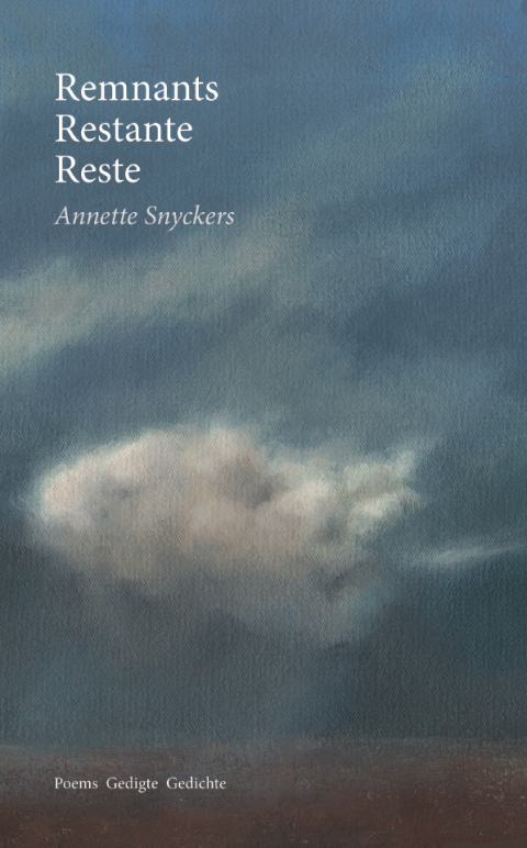 Cover image for book Remnants Restante Reste