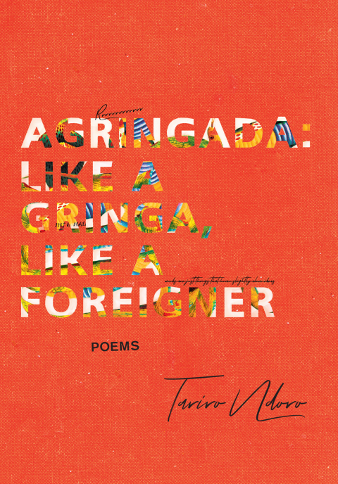 Cover image for book Agringada: Like a gringa, like a foreign