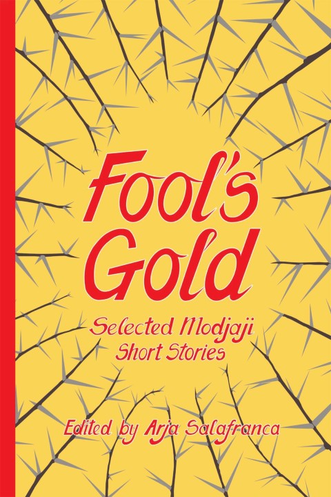 Cover image for book Fools' Gold