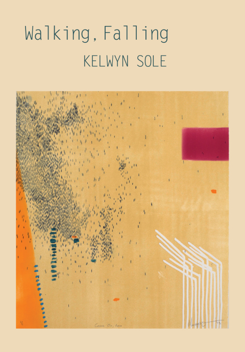 Cover image for book Walking, Falling