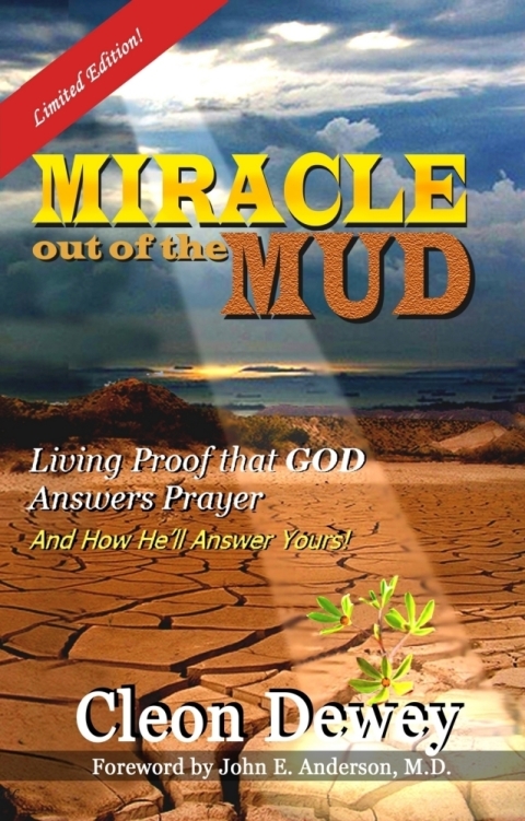 Cover image for book Miracle Out of the Mud