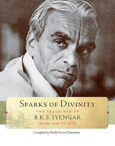 Cover image for book Sparks of Divinity