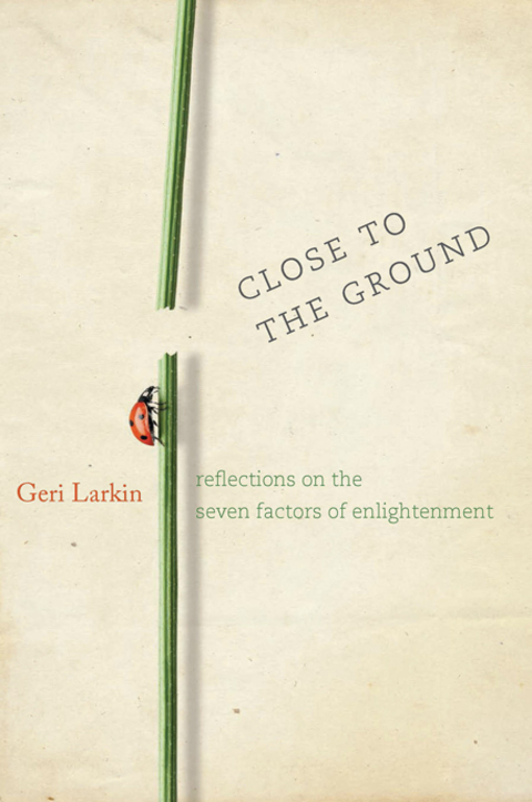 Cover image for book Close to the Ground